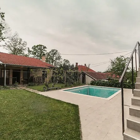 Cvrkut Ptica - * Mladenovac (Belgrade)