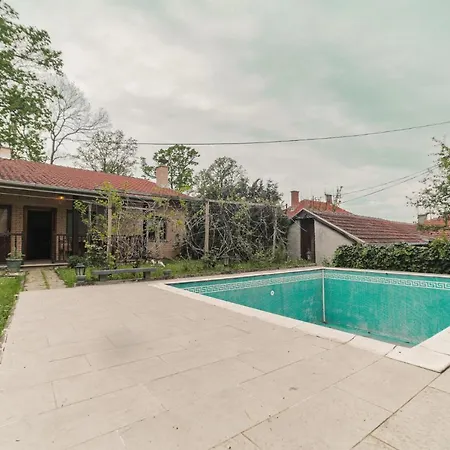 Daire Cvrkut Ptica - *