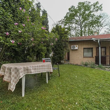 Cvrkut Ptica - Mladenovac (Belgrade)