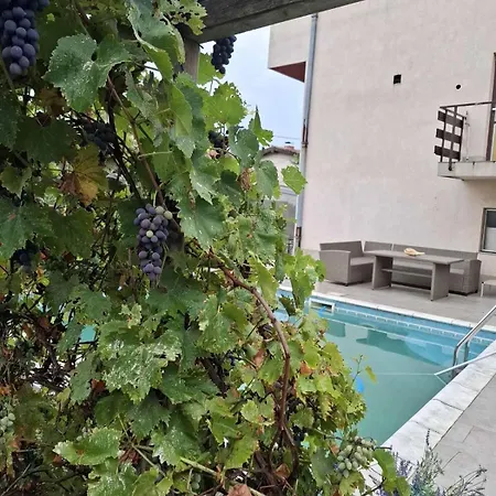 Apartment Cvrkut Ptica - *