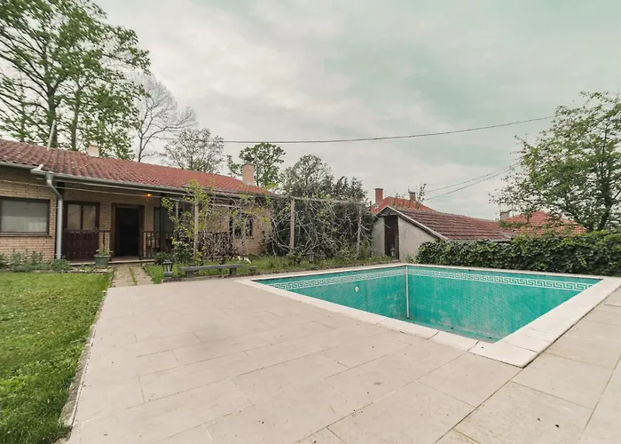 Daire Cvrkut Ptica - *