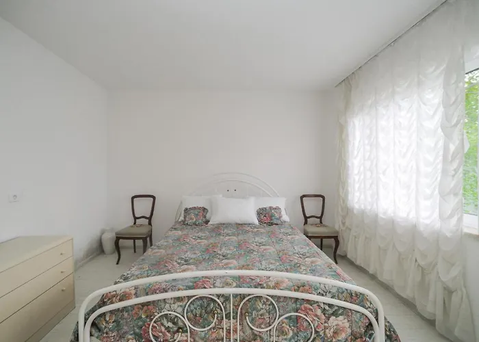 Daire Cvrkut Ptica -