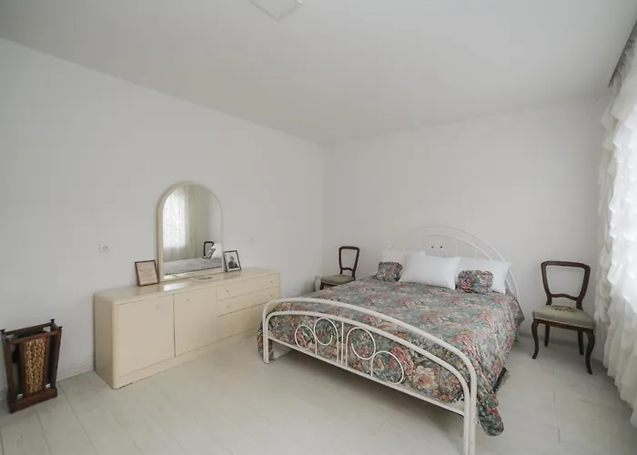 Daire Cvrkut Ptica -