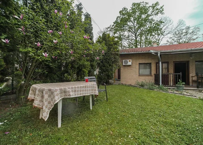 Cvrkut Ptica - Mladenovac (Belgrade)