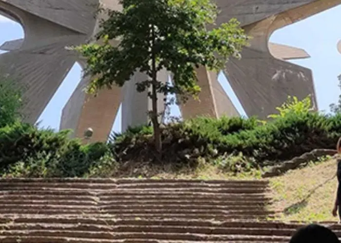 Cvrkut Ptica - Daire *