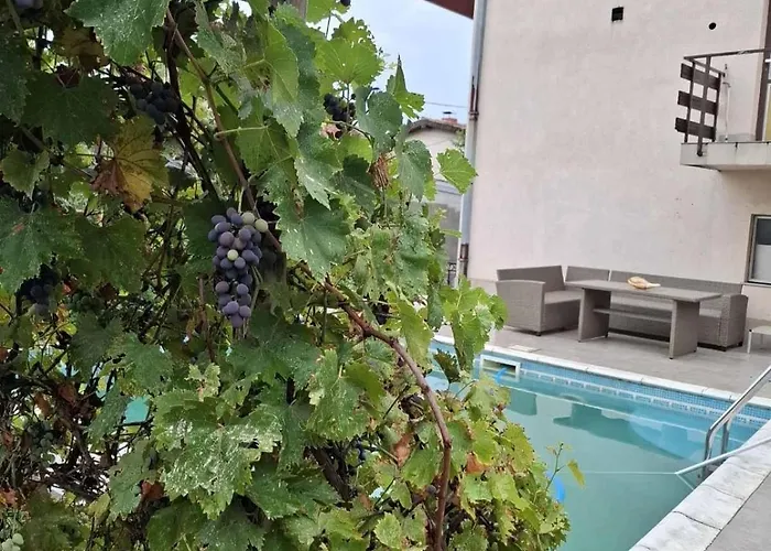 Daire Cvrkut Ptica - *